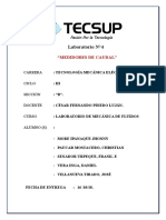 Laboratorio N4 FLUIDOS