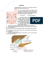 Semiología Del Abdomen