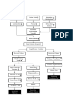 Pathways CHF