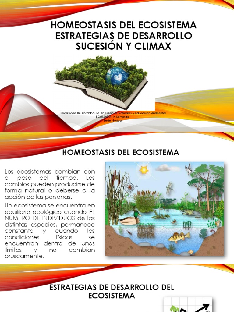 HOMEOSTASIS DEL ECOSISTEMA.pptx