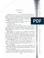 túneles 3.pdf