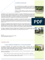 script-tmp-inta-_el_desbrote_de_los_viedos_en_produccin_boletin_.pdf