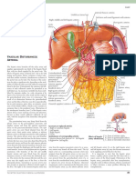 Celiac Artery Netter