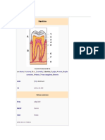 Dentina