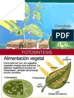 1-Fotisntesis Nuevo y Renovado