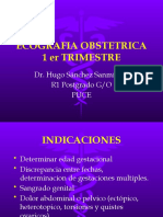 Ecografia Obstetric A 1er Trimestre