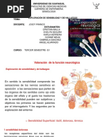 Sensibilidad Grupo 4