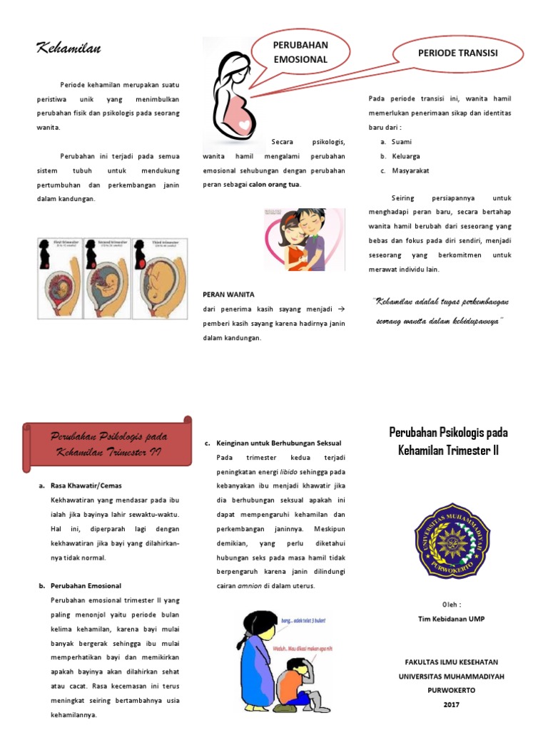 Leaflet Tm 2