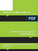 TRABAJO DOMICILIARIO 01.pptx