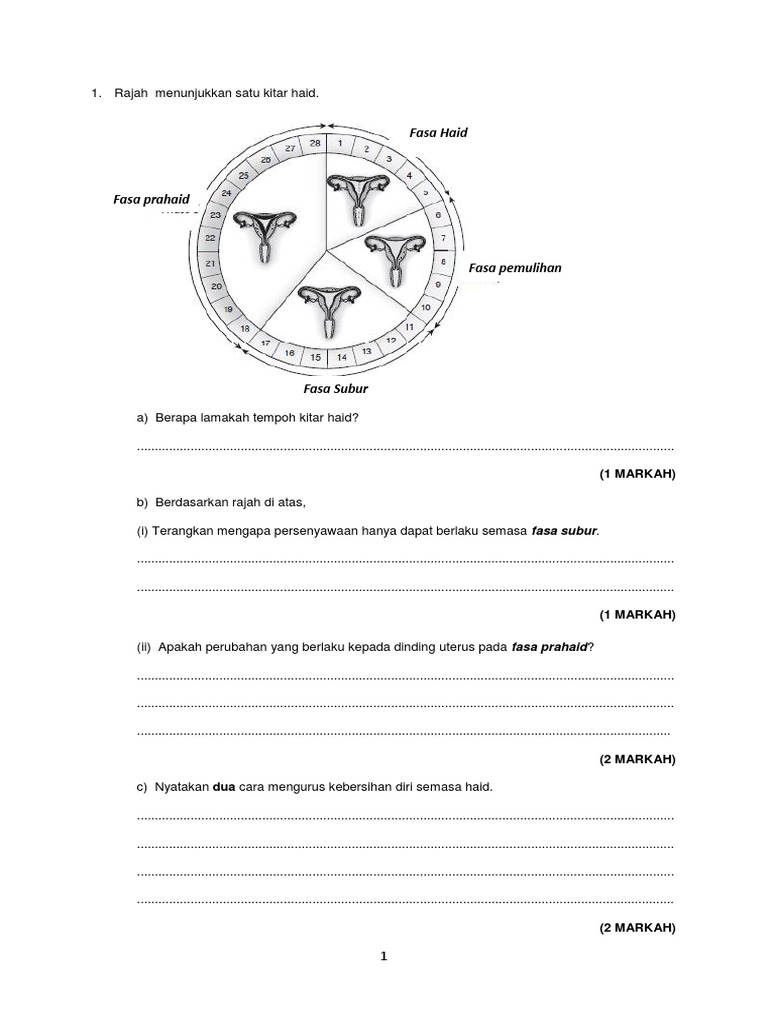 Ujian 2 Sn 2017 Pdf