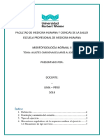 Ajustes cardiovasculares al ejercicio