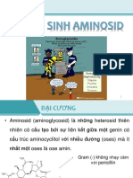 Kháng Sinh Aminosid PDF