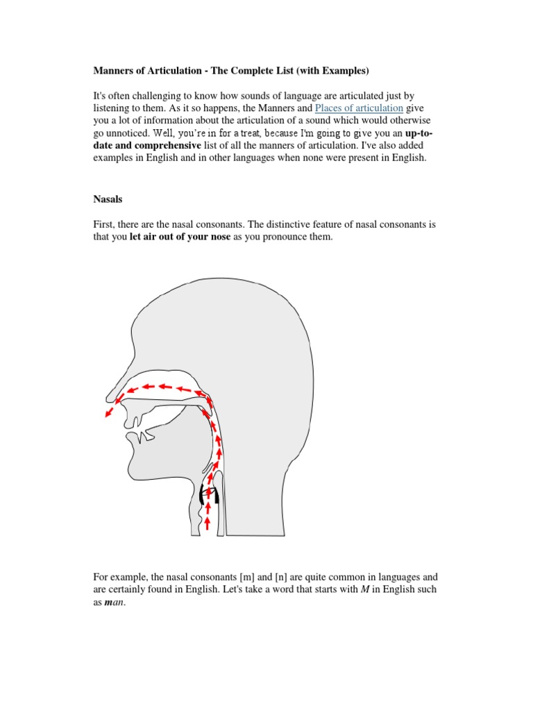 Comprehensive Guide to Articulation | PDF | Consonant | Human Voice