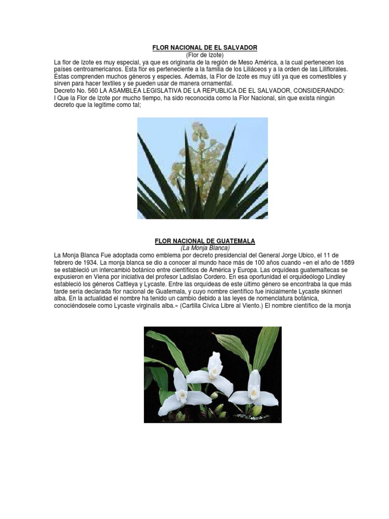 Flor Nacional de El Salvador | PDF | Orchidaceae | Jardinería