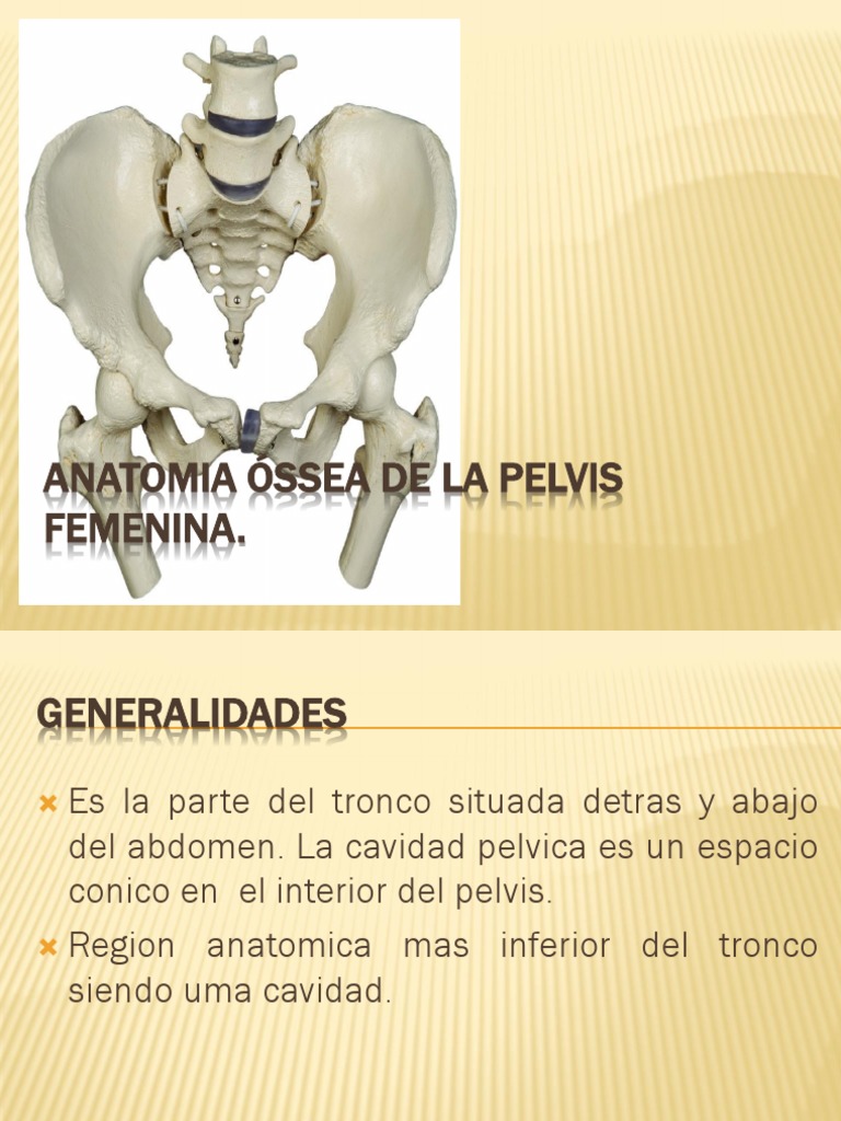 anatomia-ssea-de-la-pelvis-femenina-descargar-gratis-pdf-pelvis