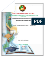 Rocas Siliciclásticas y Diagénesis PDF