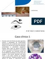 Clase N10 Parasitologia