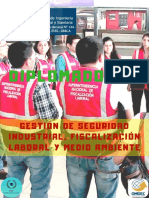 Gestión de Seguridad Industrial Fiscalización Laboral y Medio Ambiente