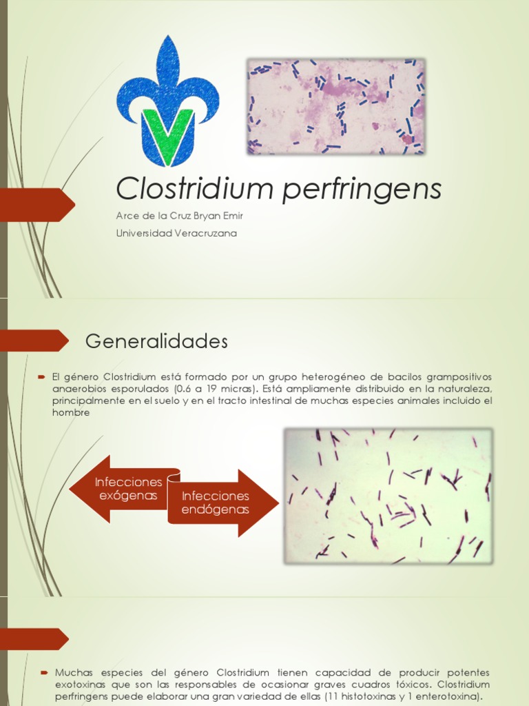 Clostridium Perfringens