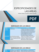 ESPECIFICIDADES DE LAS ÁREAS.pptx