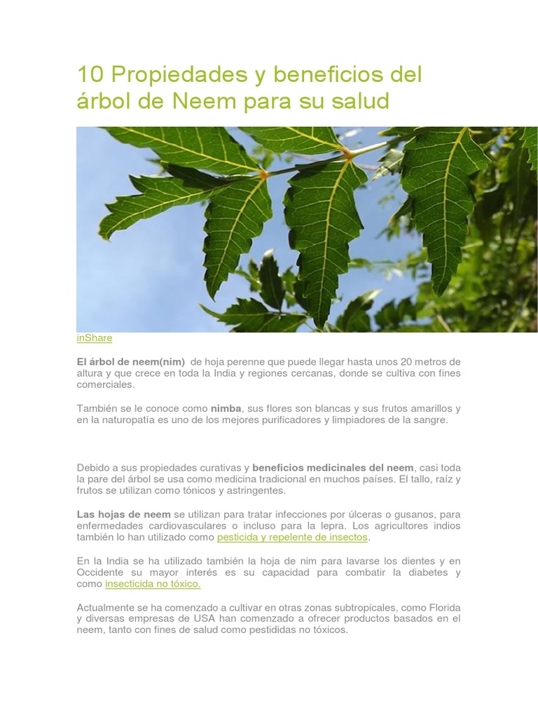 10 Propiedades y Beneficios Del Árbol de Neem Para Su Salud
