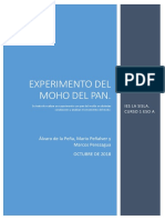 Experimento Del Moho