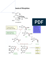 Biosyn of Morphine