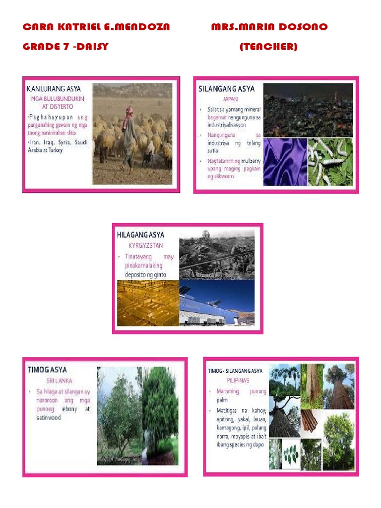 Grade 7 Daisy Class Overview | PDF