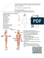 01 BSC Antomia Alapfogalamak