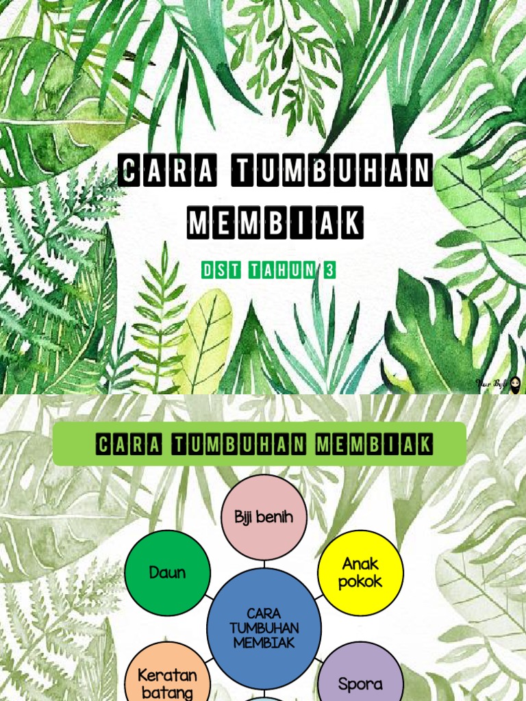 Cara Tumbuhan Membiak Pdf