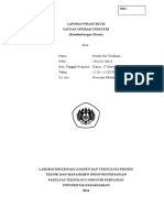 Laporan Praktikum Satuan Operasi Industri (Kesetimbangan Massa)