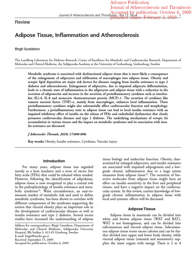Adipose Tissue's Role in Atherosclerosis | PDF | Adipose Tissue | Adipocyte
