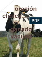 Exploración Clinica del Ganado Vacuno.pdf