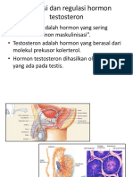 Testosteron Fix