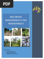 PRODUCTOS-FORESTALES-MADERABLES