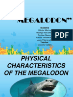 "Megalodon": Students