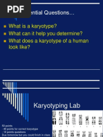 Karyotyping Lab
