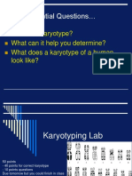 Karyotyping Lab