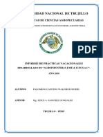 Practicas Pre Profesionales - Ingenieria Agroindustrial UNT- Palomino Cancino Waldir.pdf