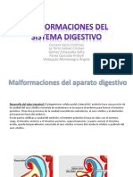 Malformaciones Del Sistema Digestivo