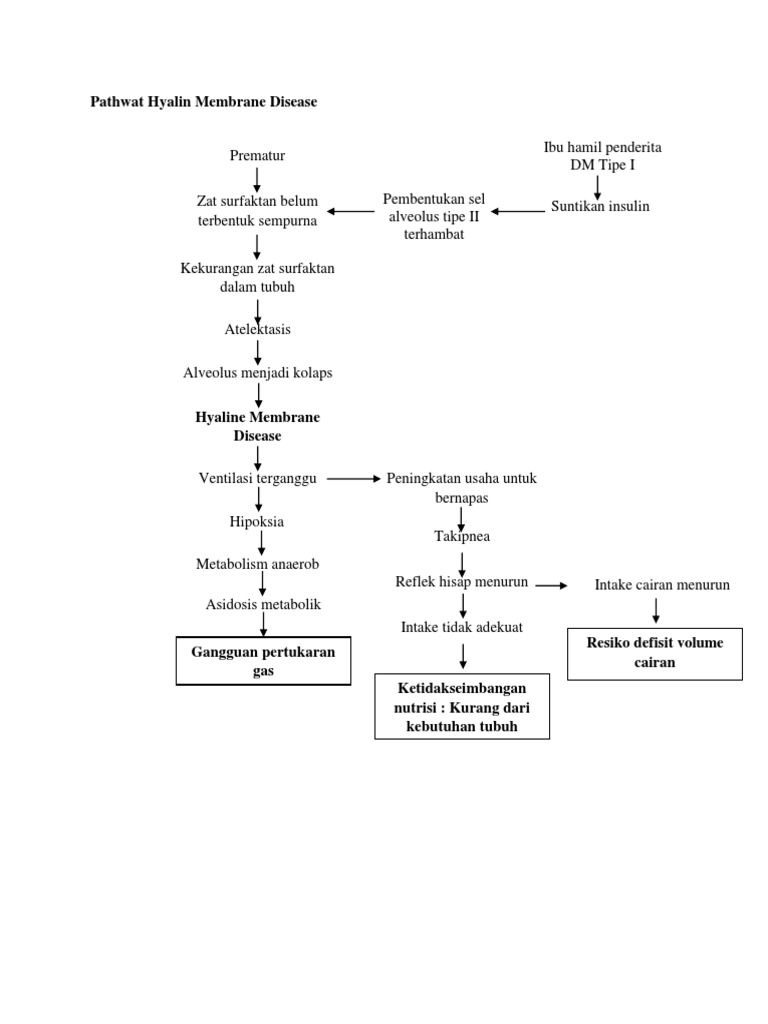 Pathway HMD | PDF