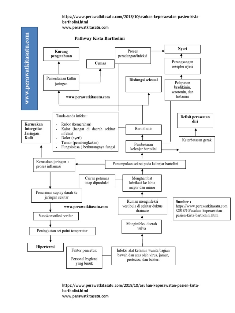 Kista Xesteliyi Nedir Youtube