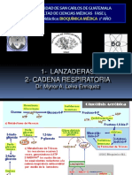 Lanzadras, Cadenas Respiratorias