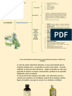 CUADRO SINÓPTICO DEL ROMERO Maria Consuelo Urueña