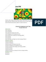 Struktur Organisasi IPM