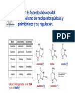 T16-nucleotidos.pdf