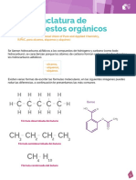 06_Nomenclatura_de_compuestos_organicos.pdf