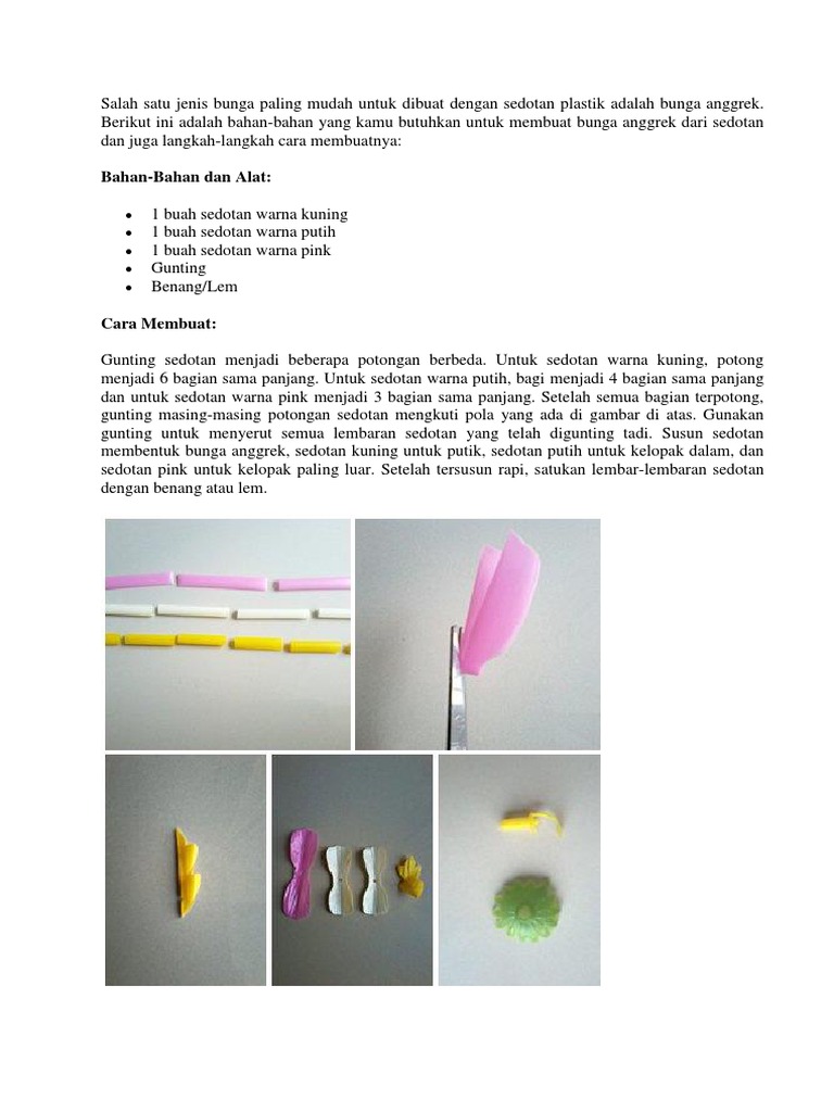 Bunga Sedotan Docx