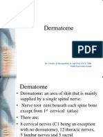 Dermatome: Dr. Charles A Simanjuntak, DR, Spot (K), Fics, MPD Fkik Universitas Jambi