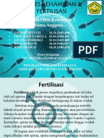 Proses Kehamilan & Fertilisasi